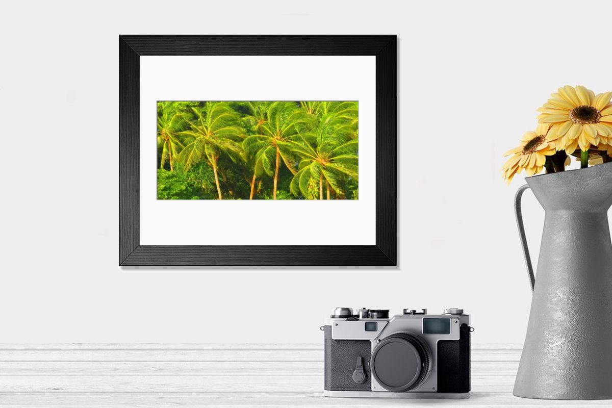 product preview 0