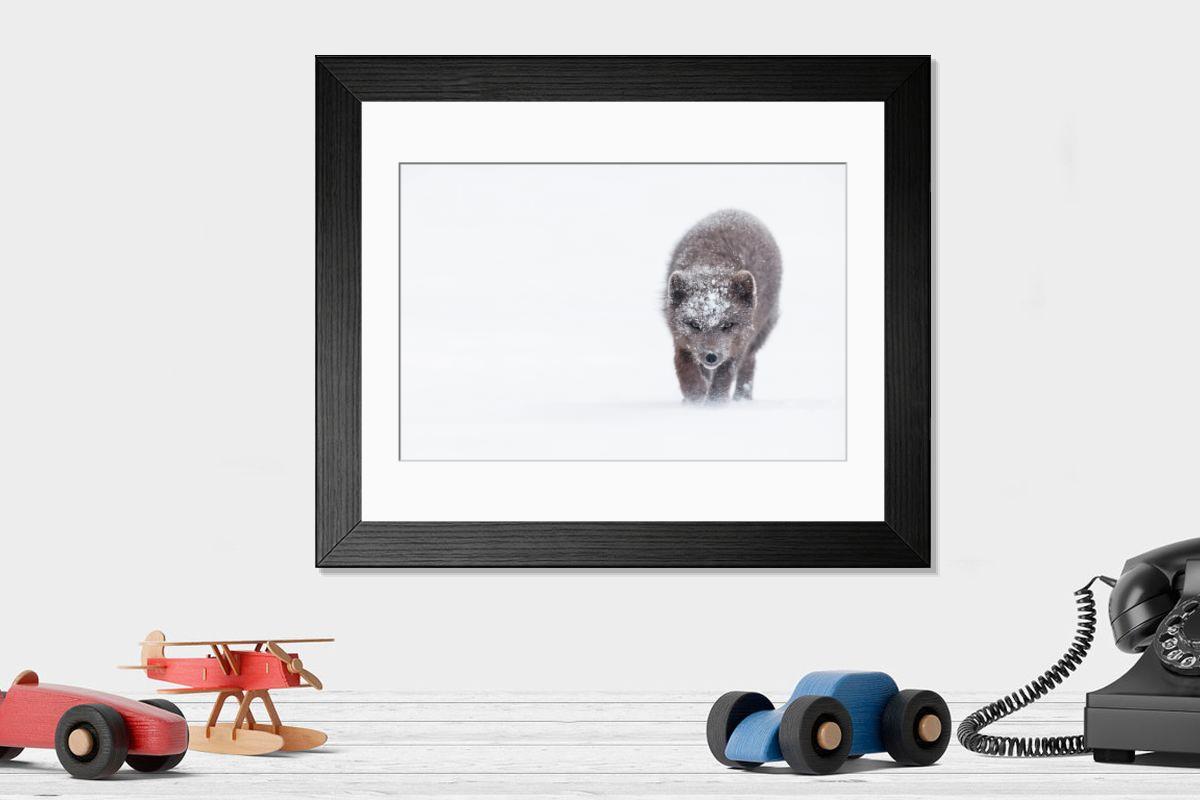 product preview 0