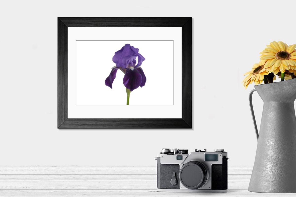 product preview 0