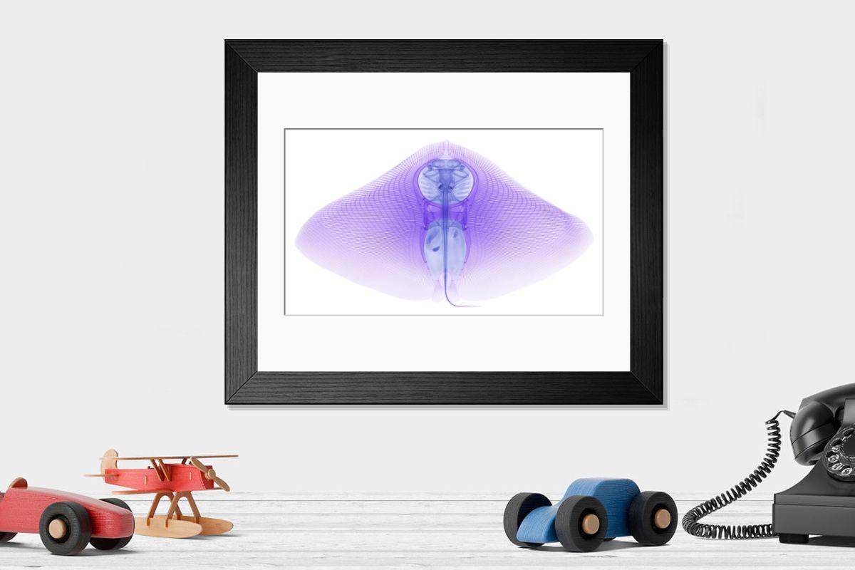 product preview 0