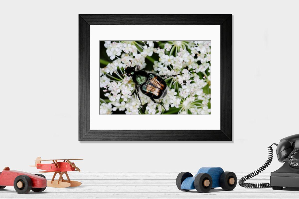 product preview 0