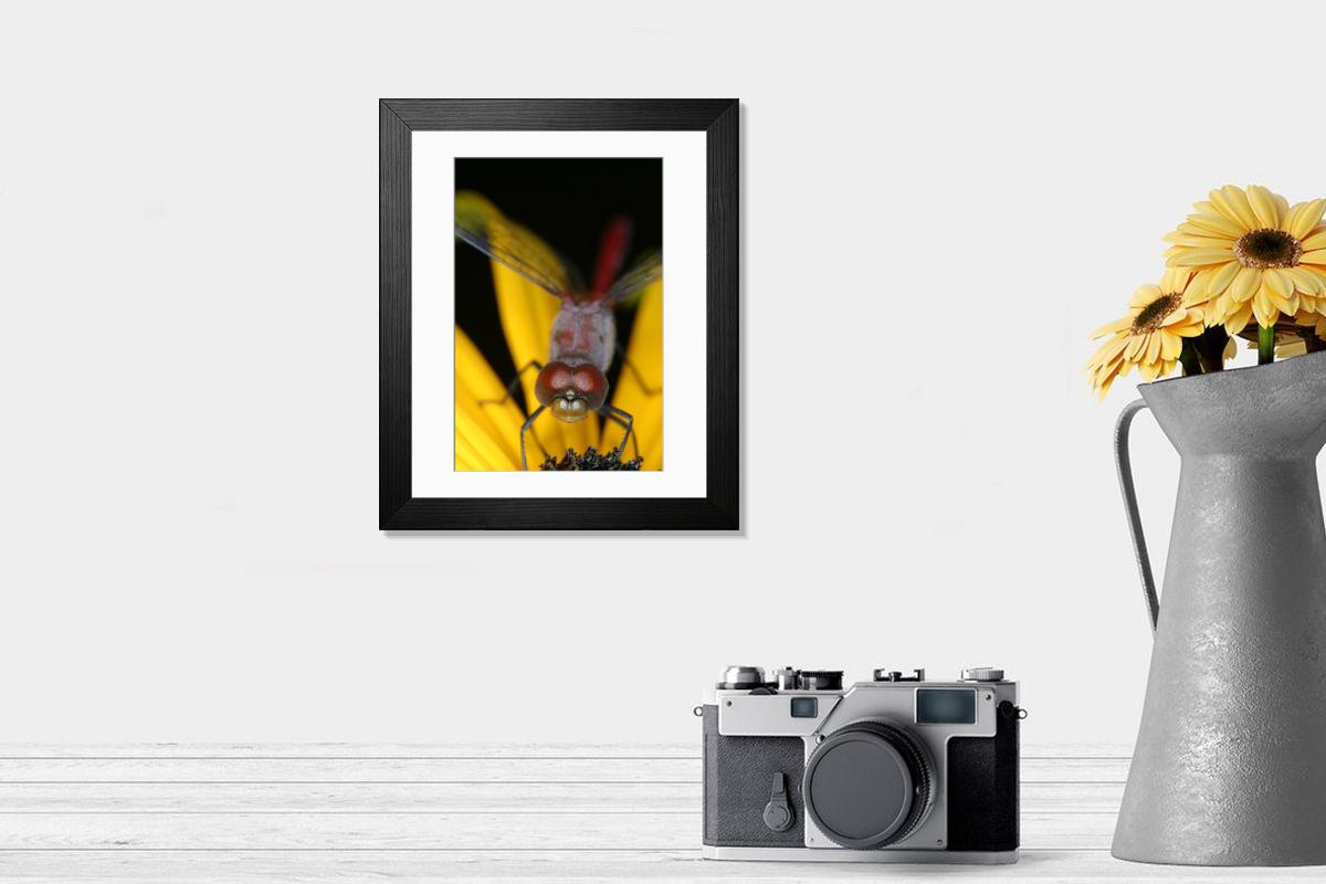 product preview 0