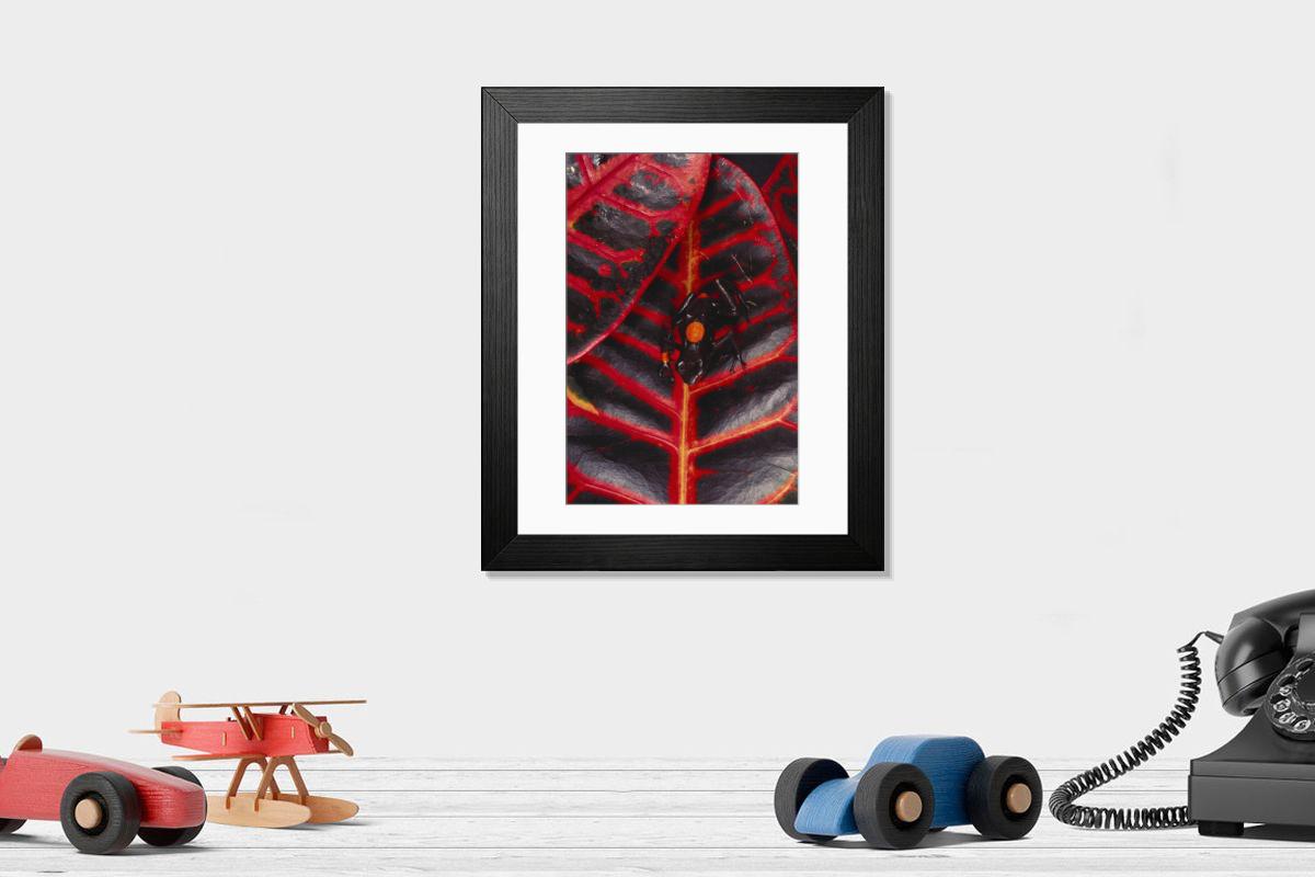 product preview 0