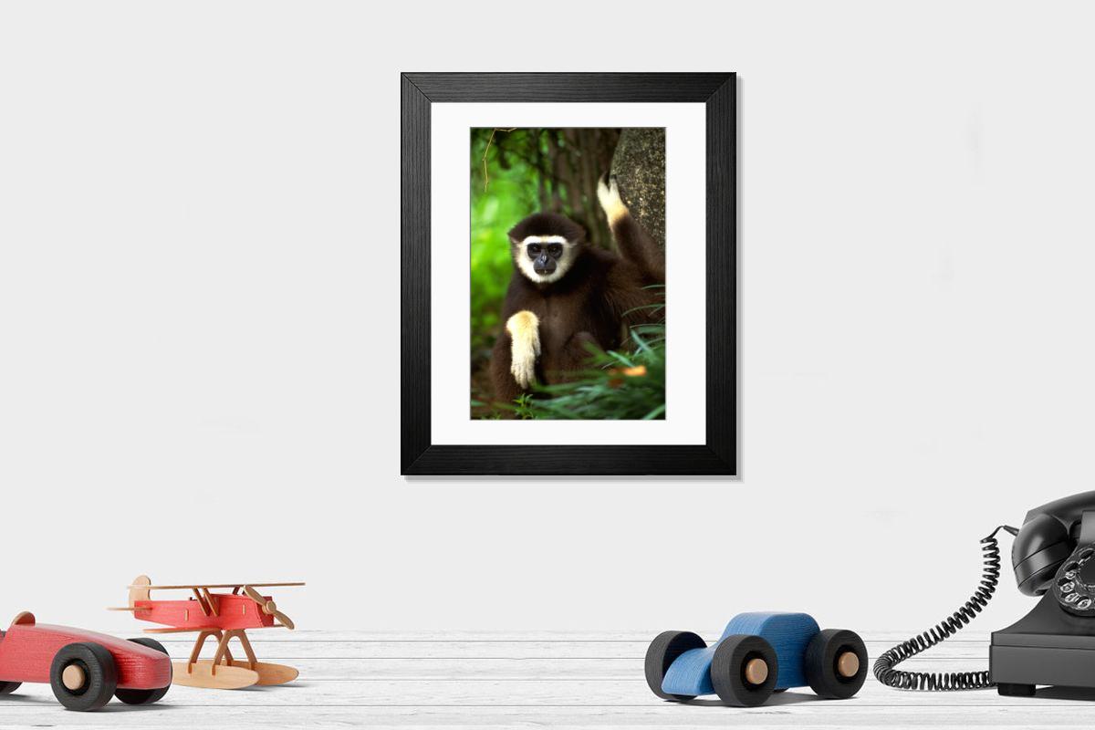 product preview 0