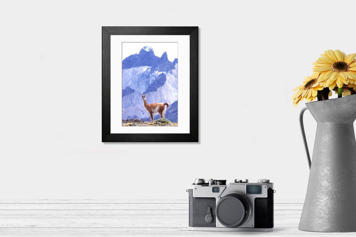 product preview 0
