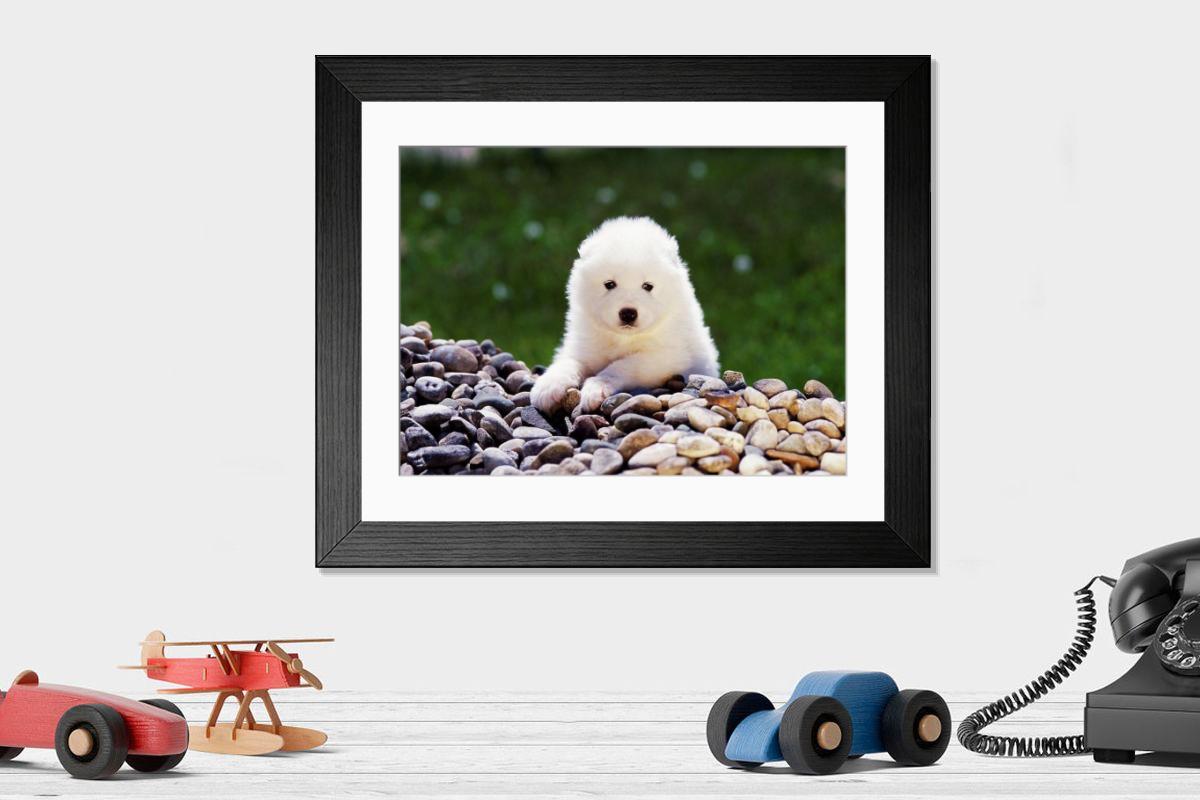 product preview 0