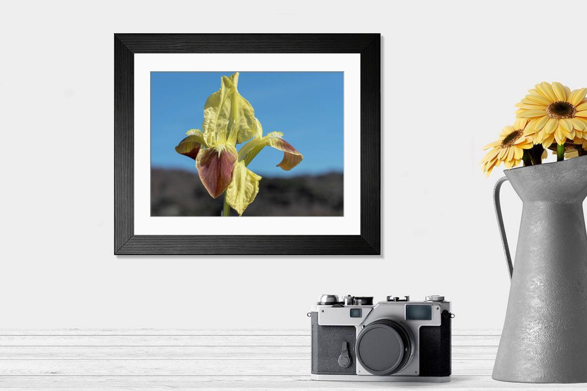 product preview 0