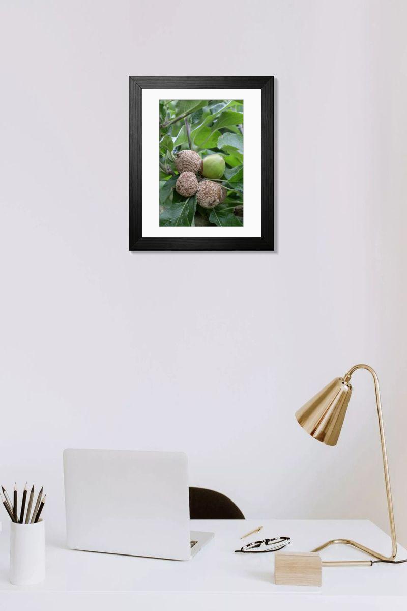product preview 0
