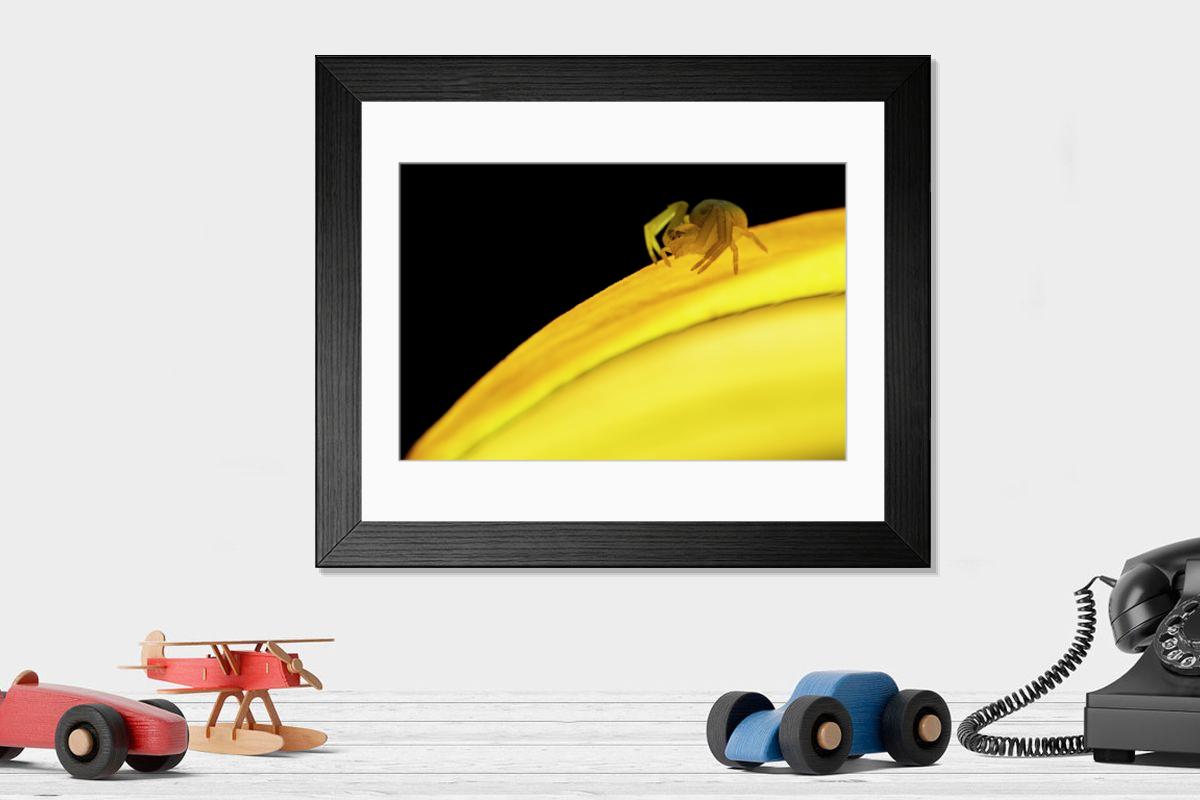 product preview 0