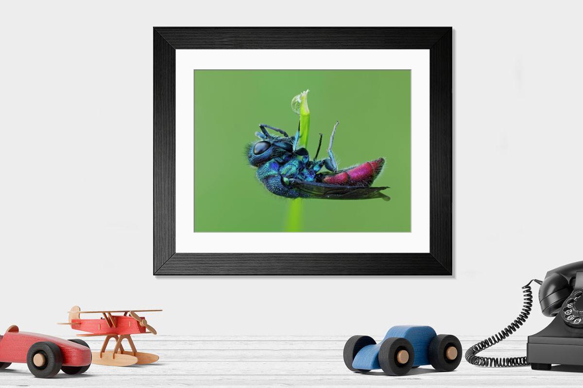 product preview 0