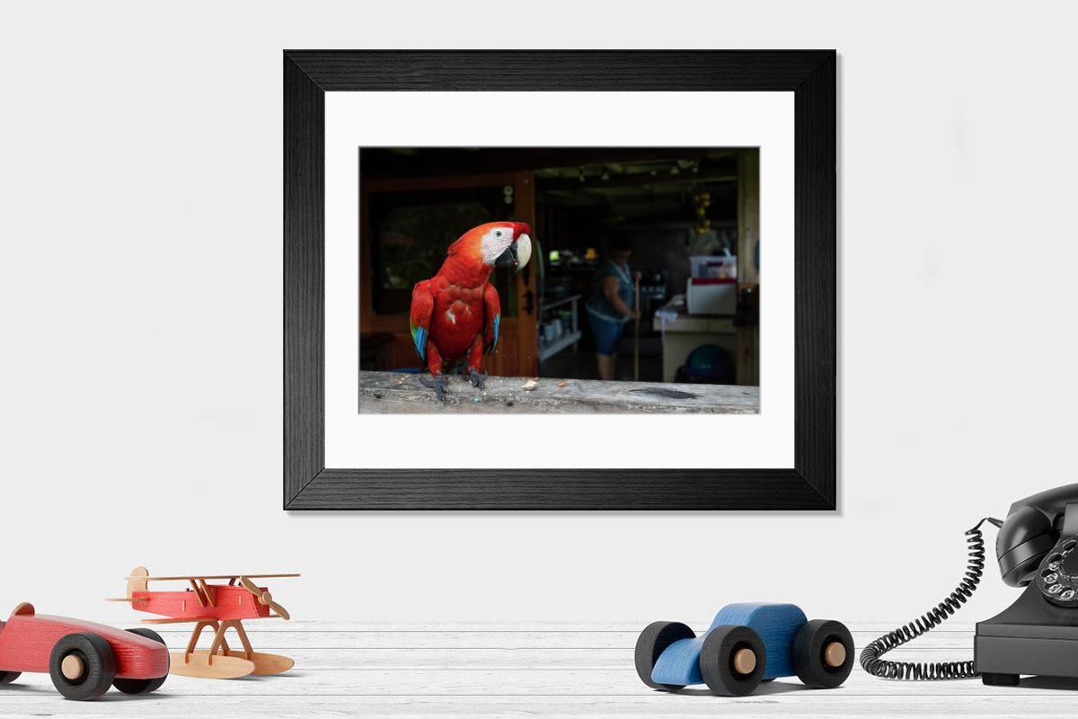 product preview 0