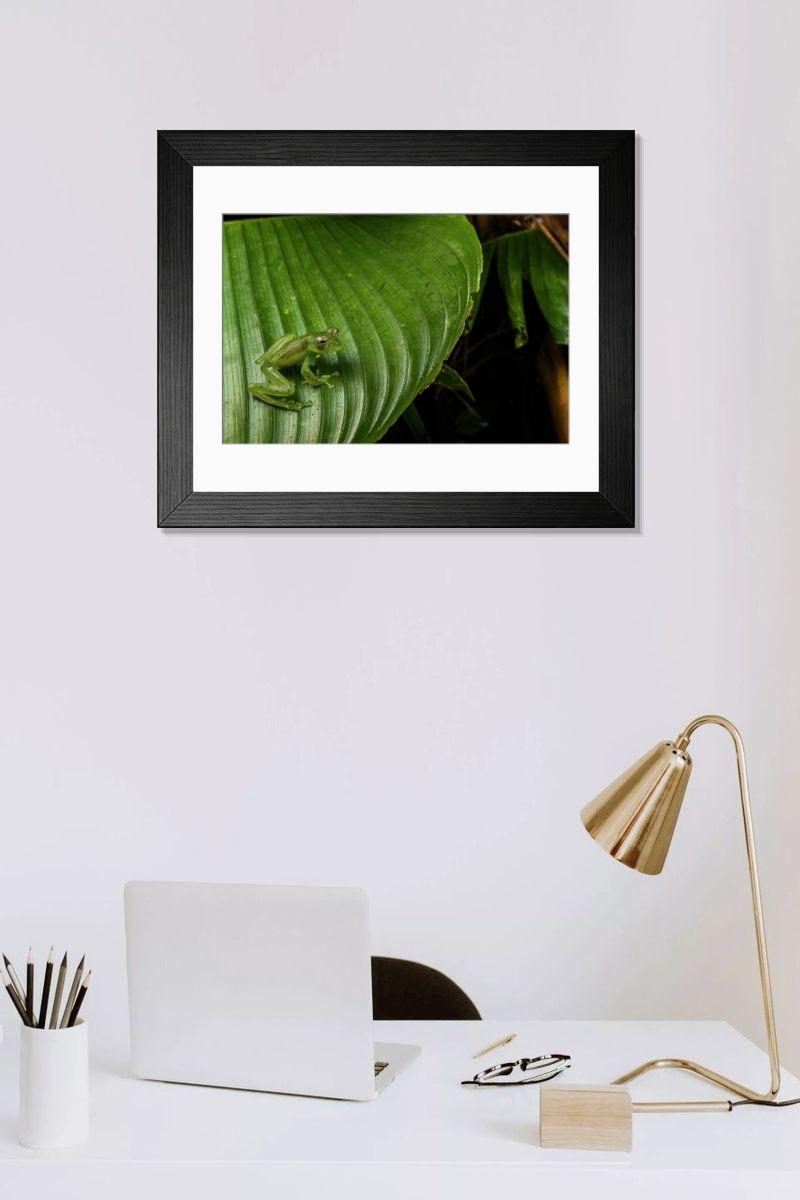 product preview 0