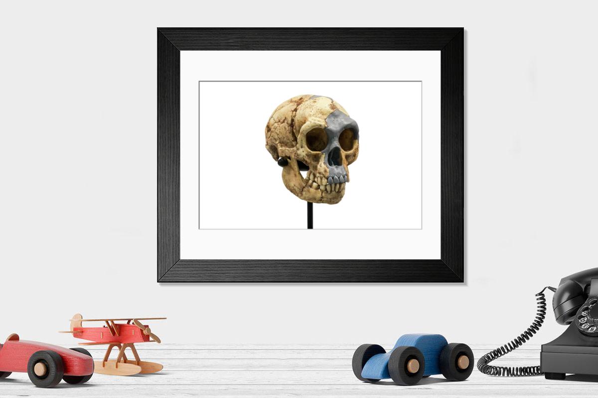 product preview 0