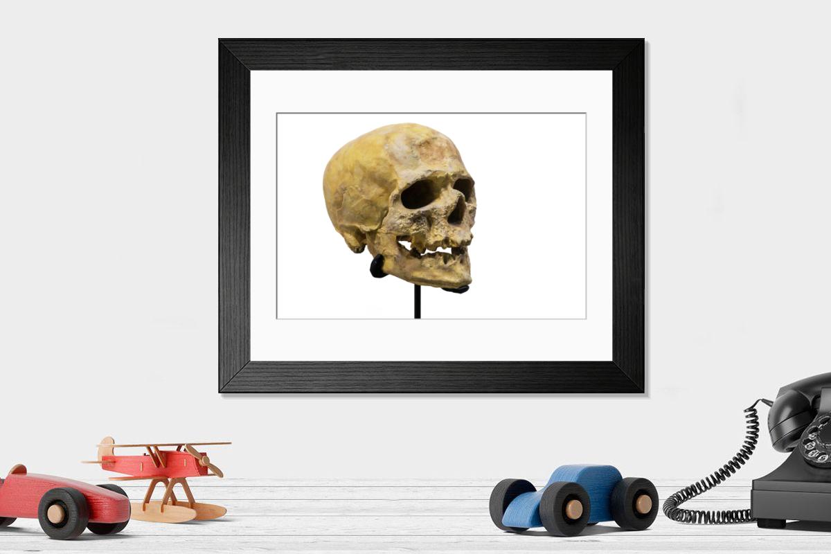 product preview 0