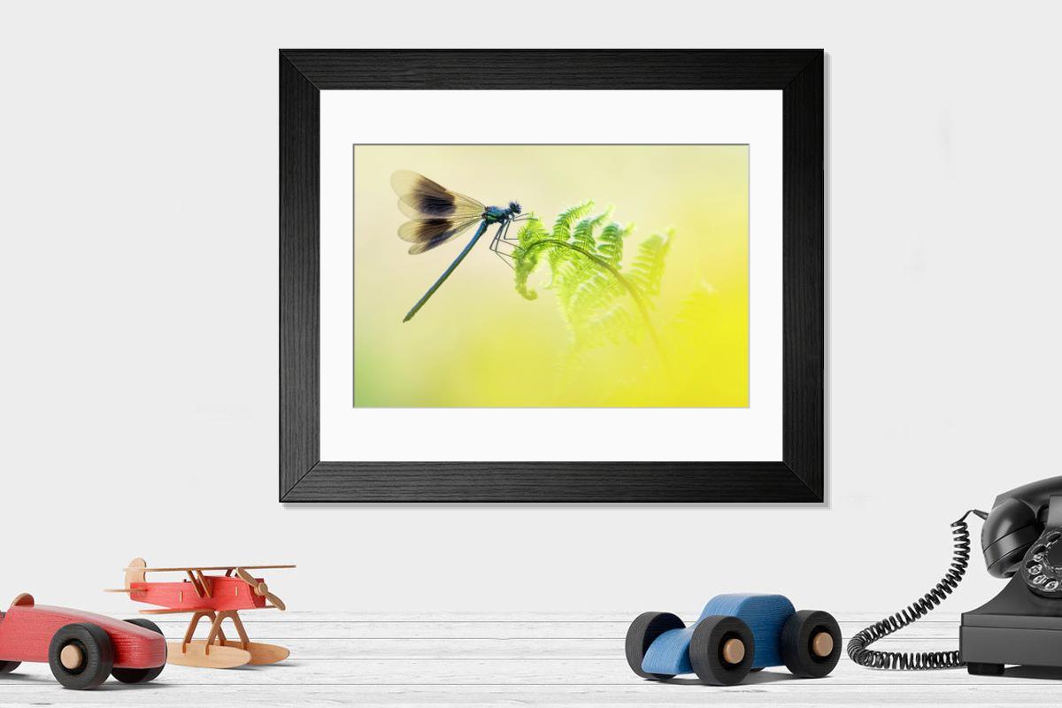 product preview 0