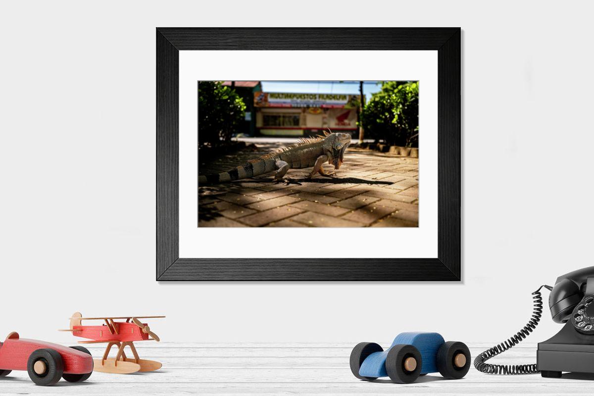 product preview 0
