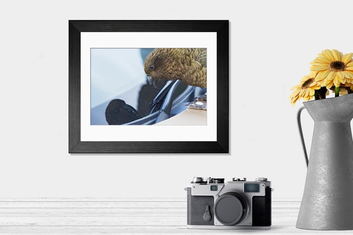 product preview 0