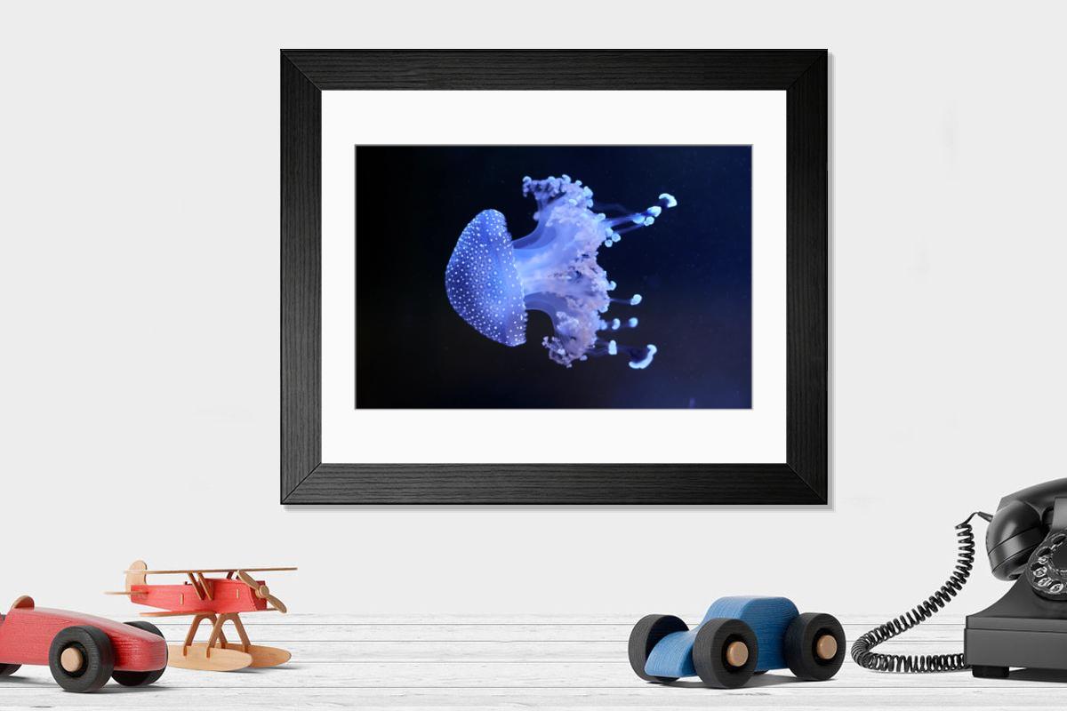 product preview 0