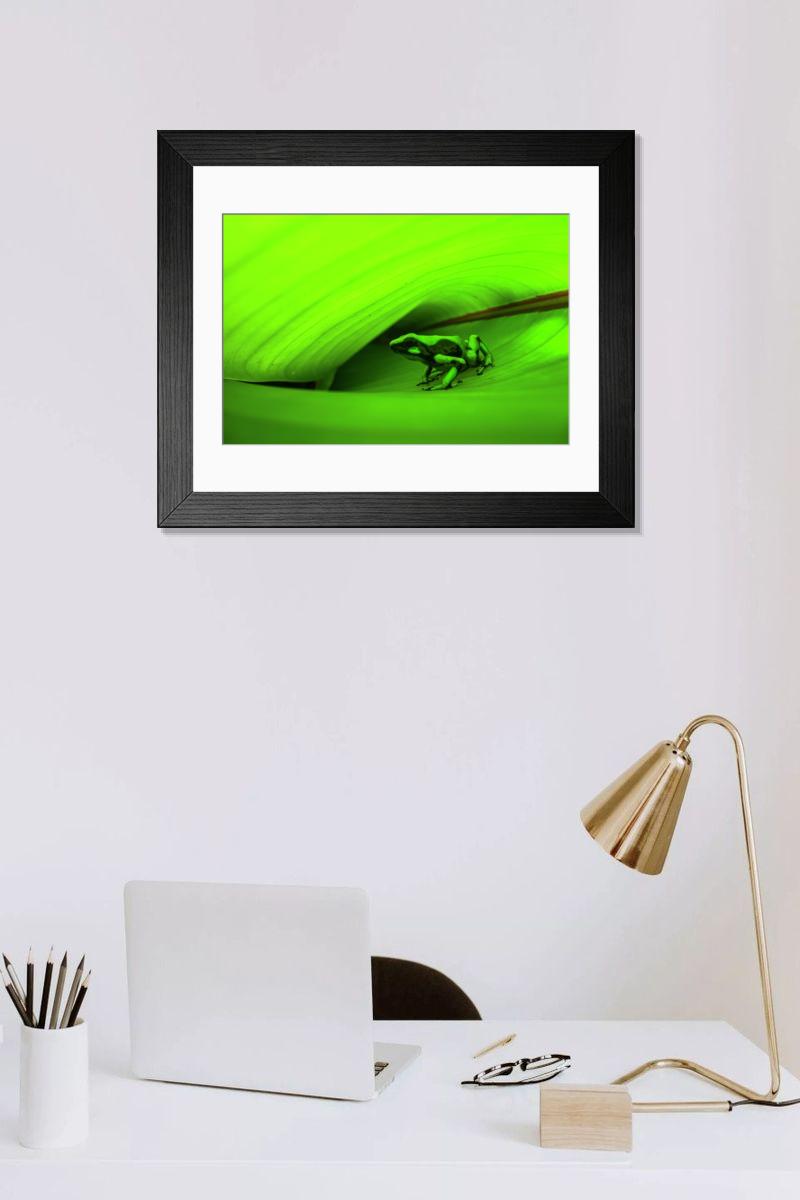 product preview 0