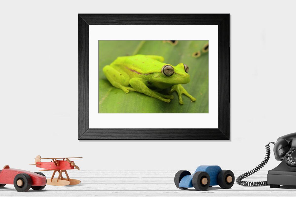 product preview 0