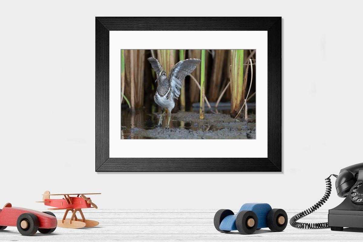 product preview 0