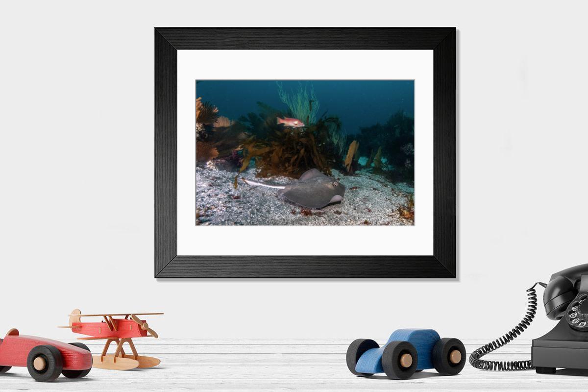 product preview 0