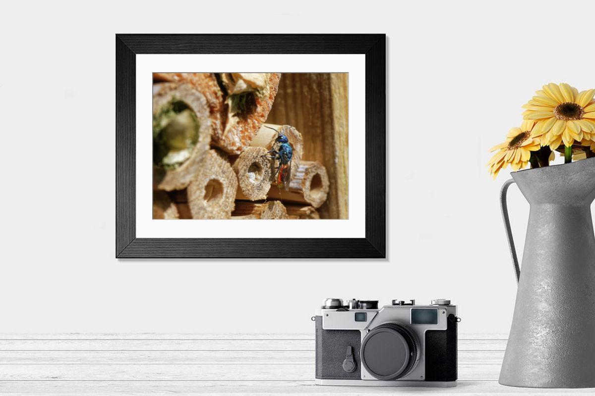 product preview 0