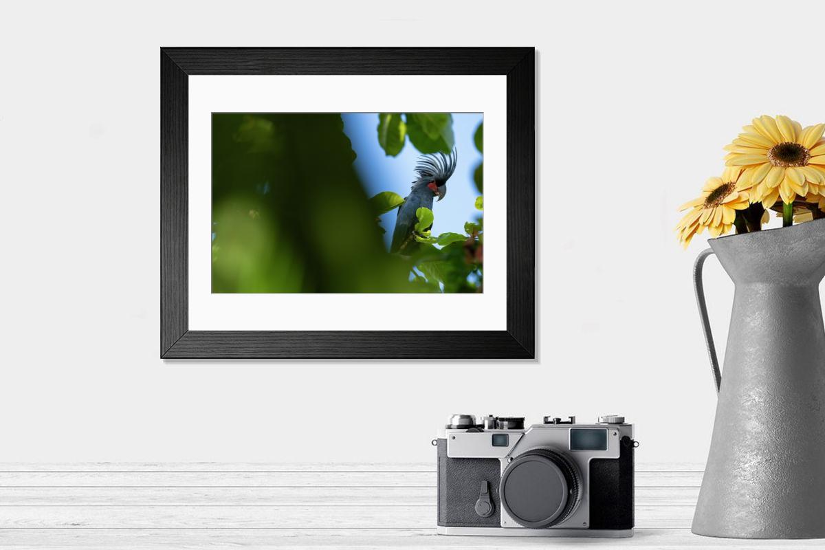 product preview 0