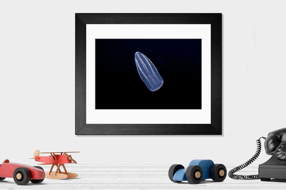 product preview 0