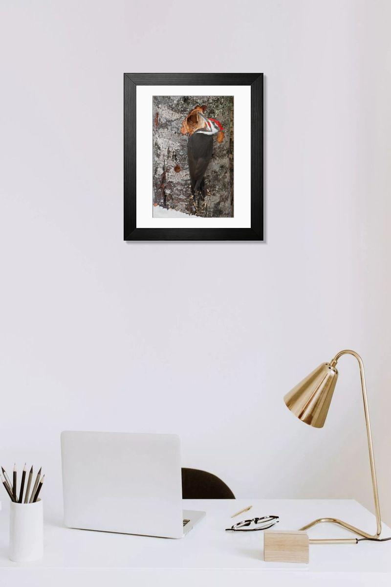 product preview 0