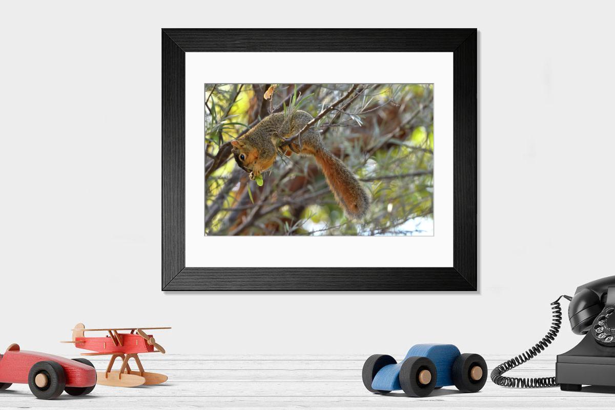 product preview 0