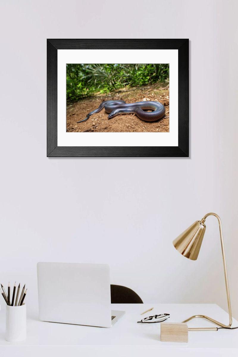 Shown hanging in a room: Modern 14"x12" (36x31cm)