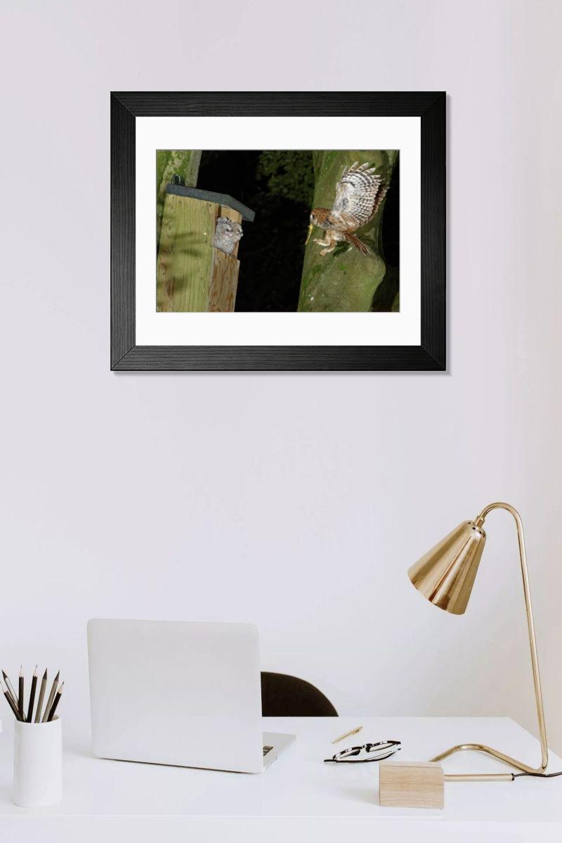 product preview 0