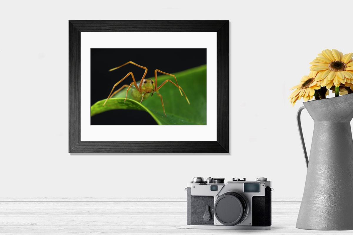 product preview 0