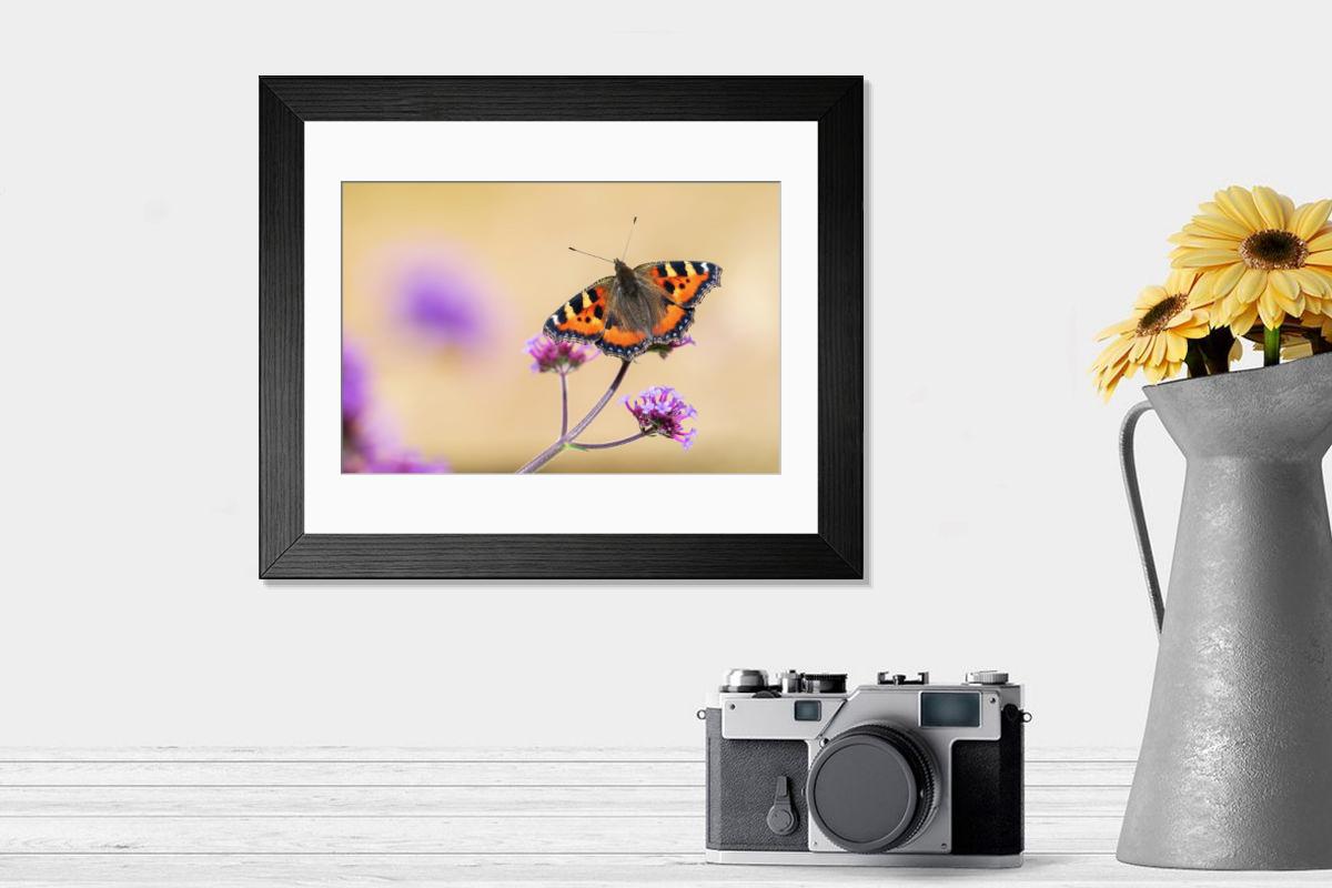 product preview 0