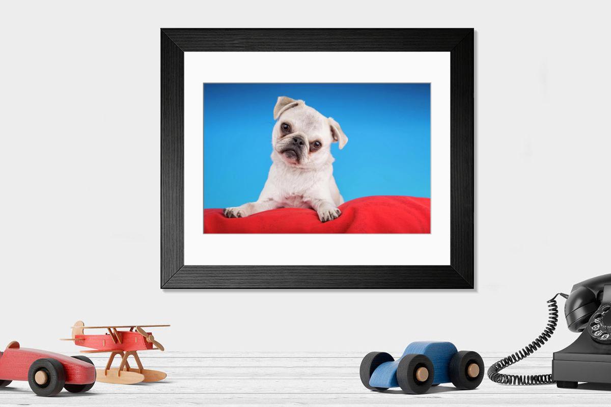 product preview 0