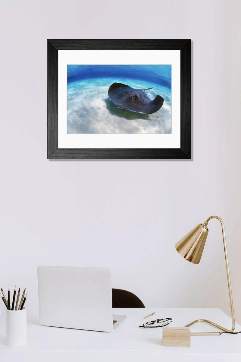 product preview 0