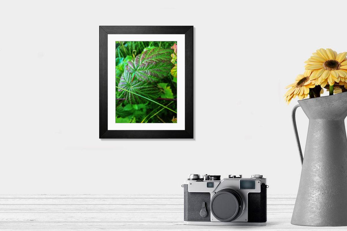 product preview 0