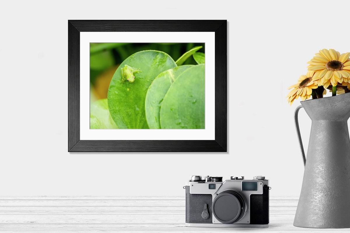 product preview 0