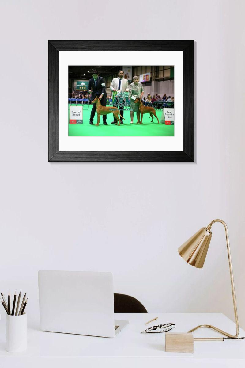 product preview 0