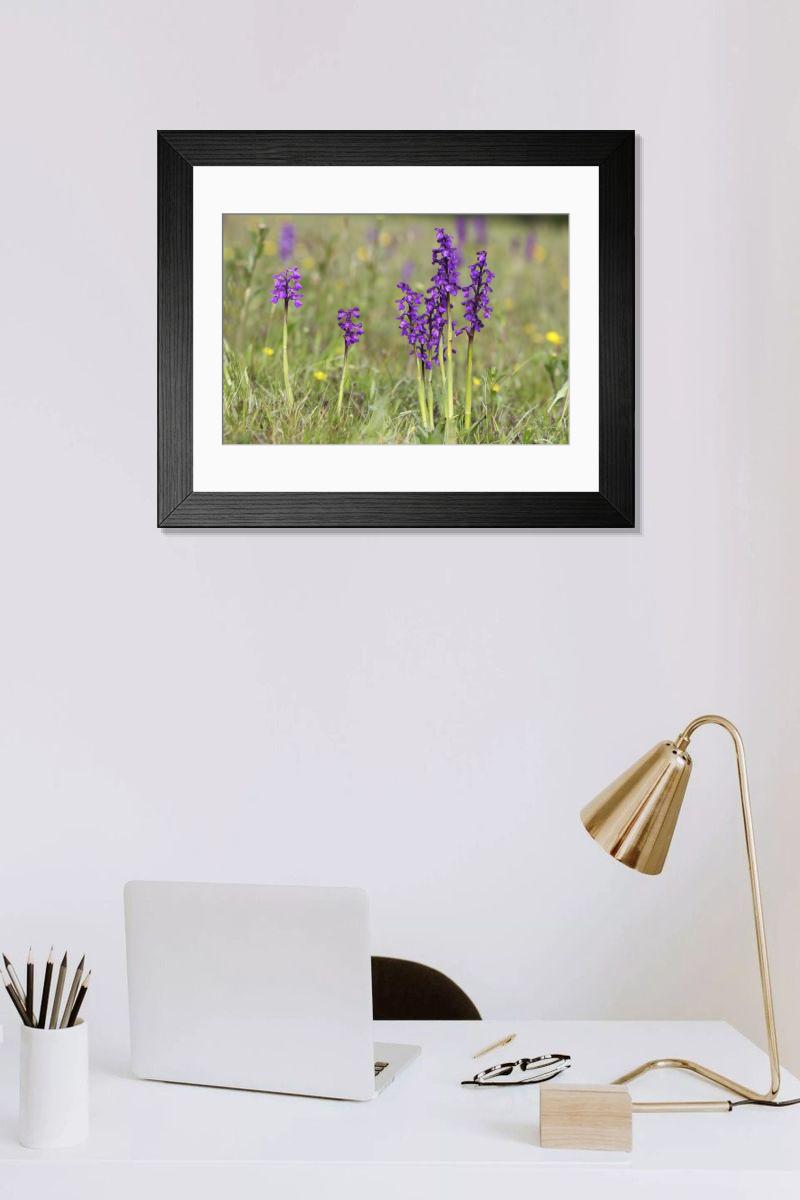 Shown hanging in a room: Modern 14"x12" (36x31cm)