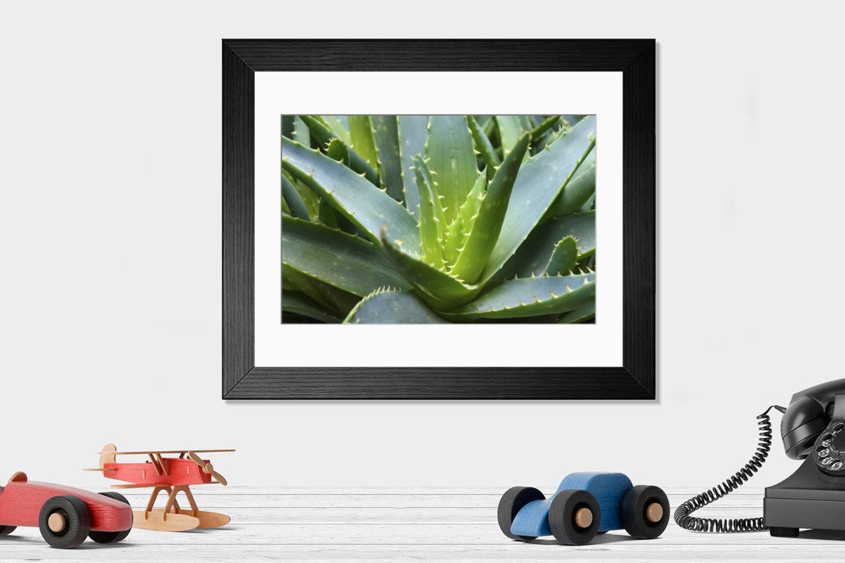 product preview 0