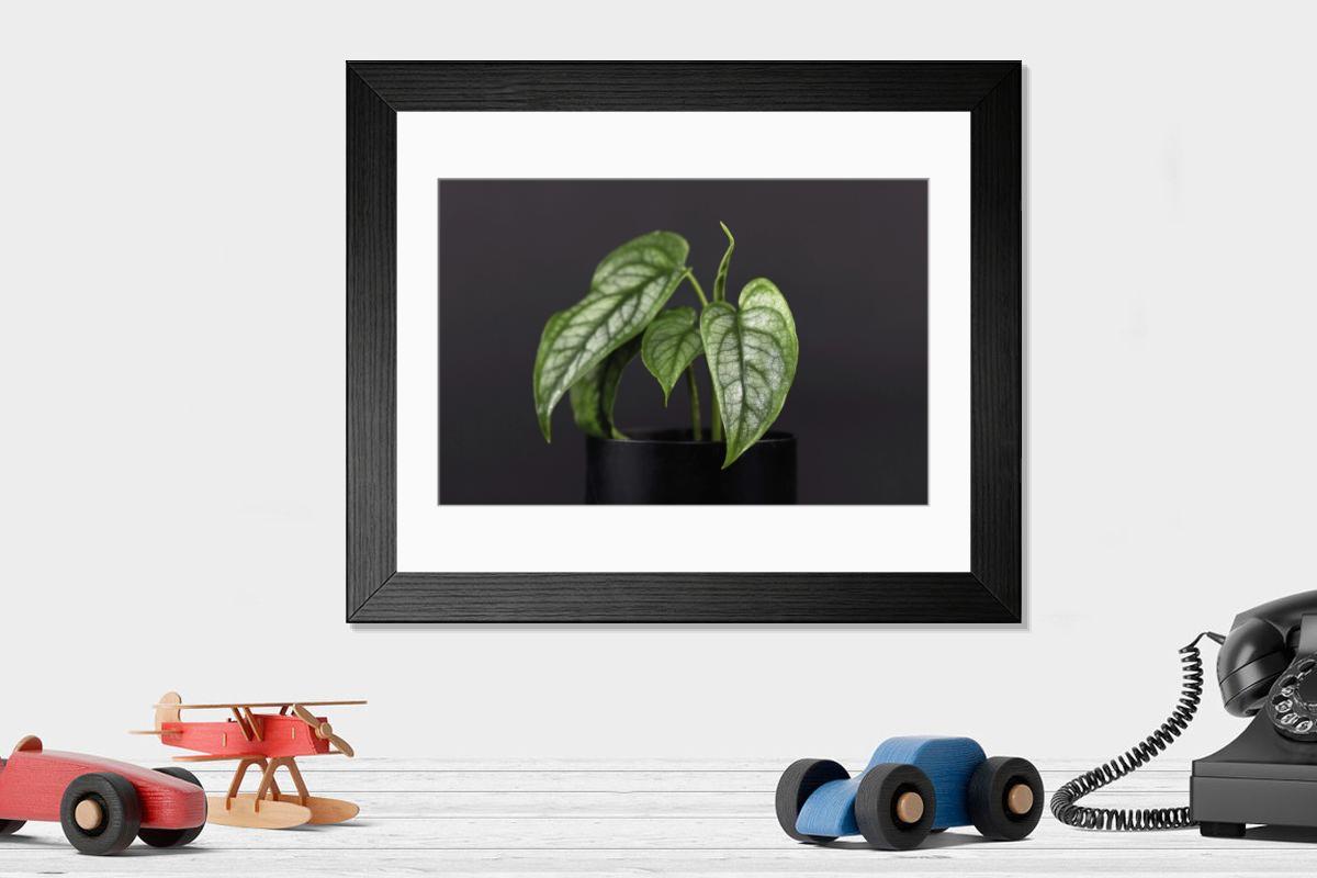 product preview 0