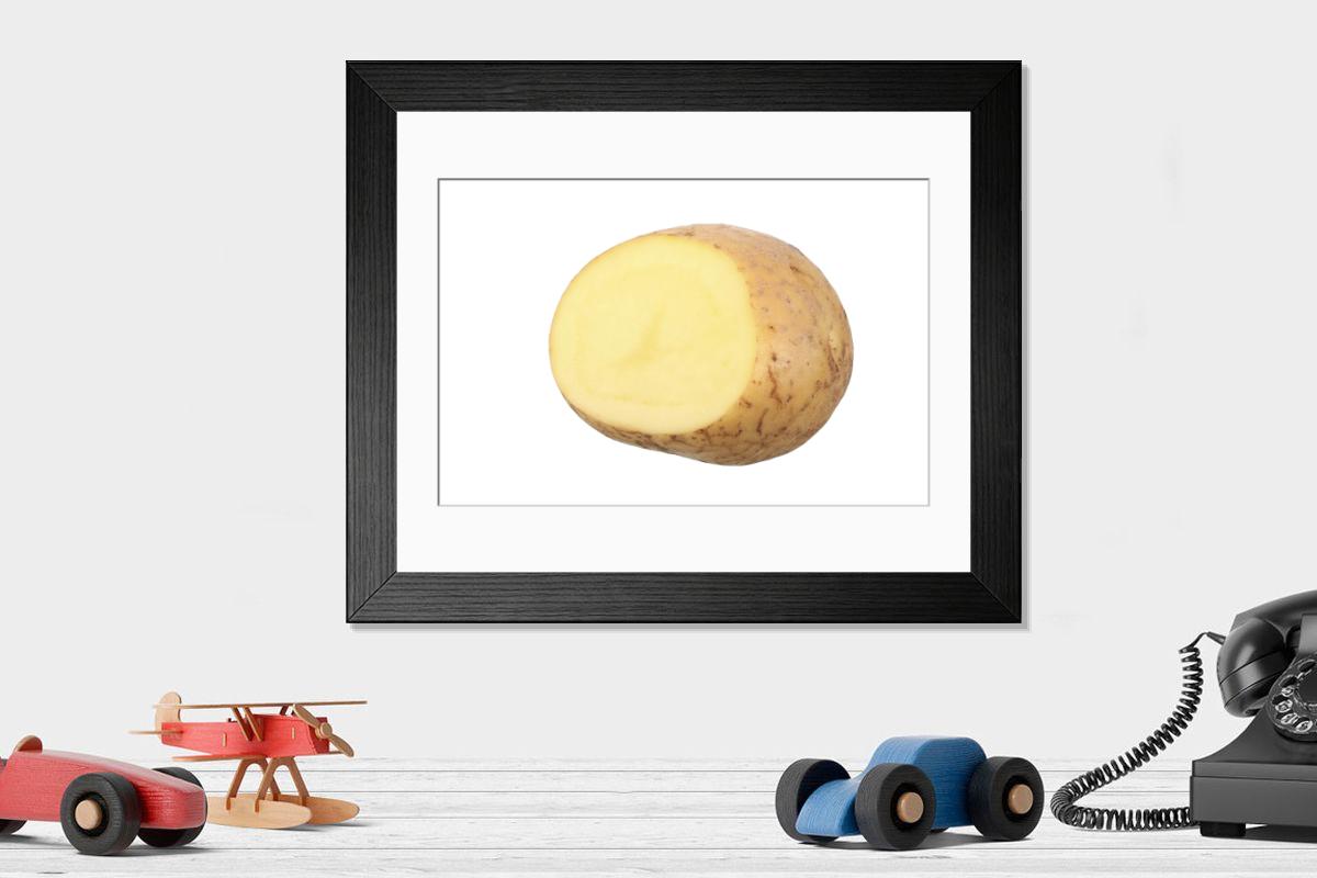 product preview 0