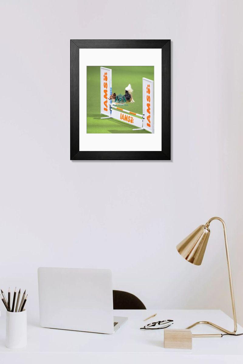 product preview 0
