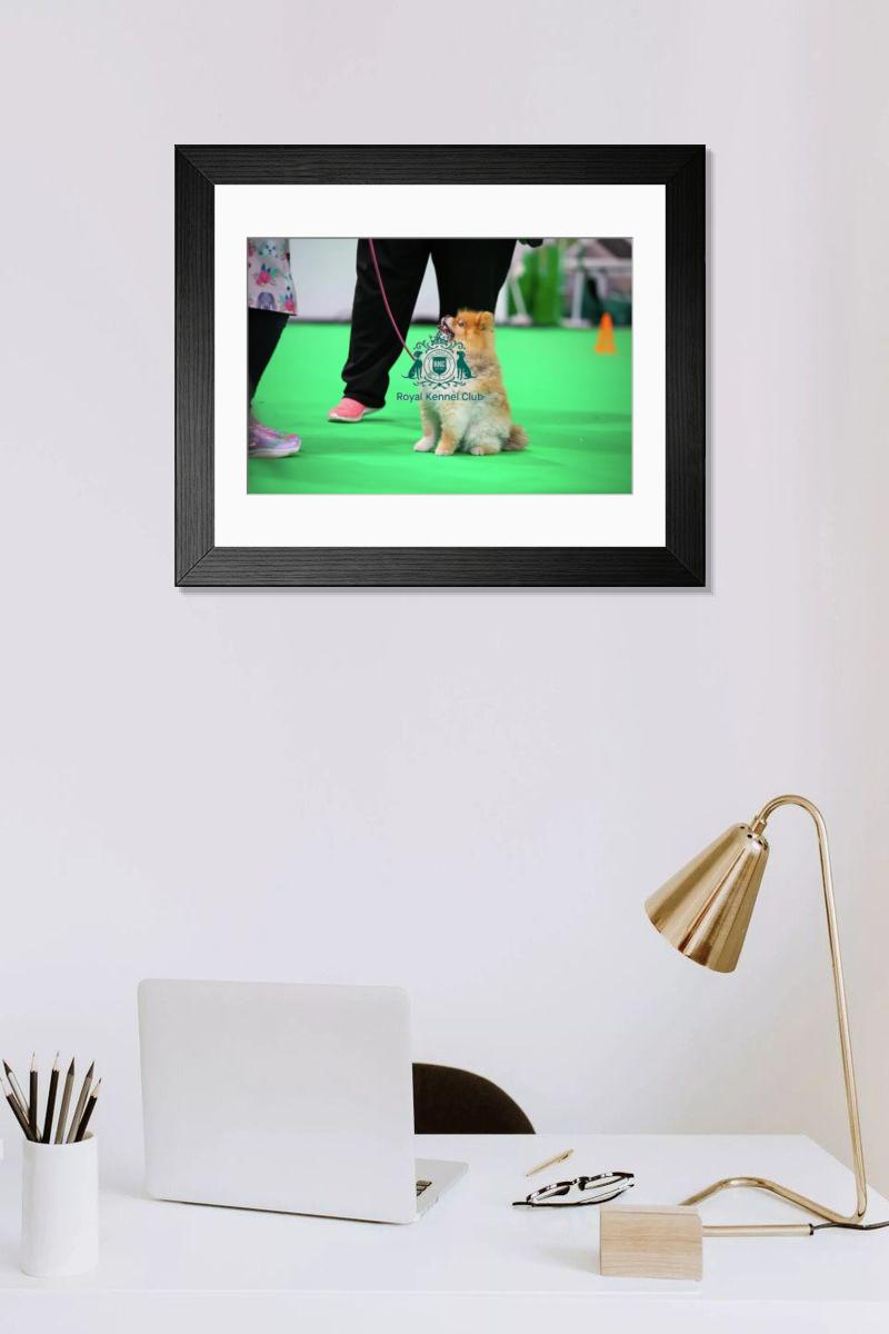 product preview 0