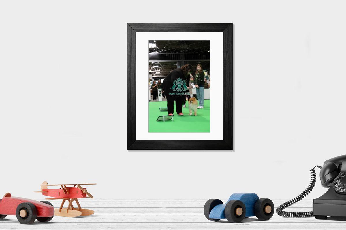 product preview 0