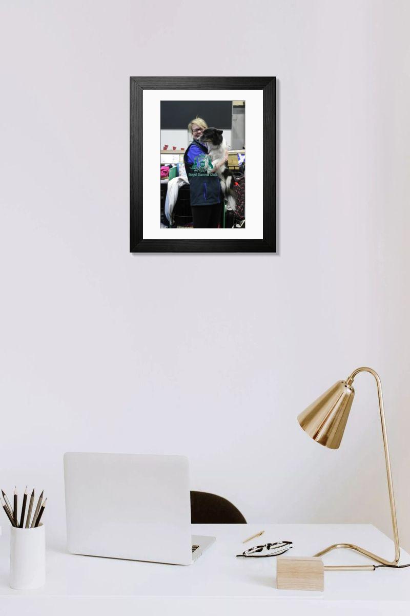 product preview 0