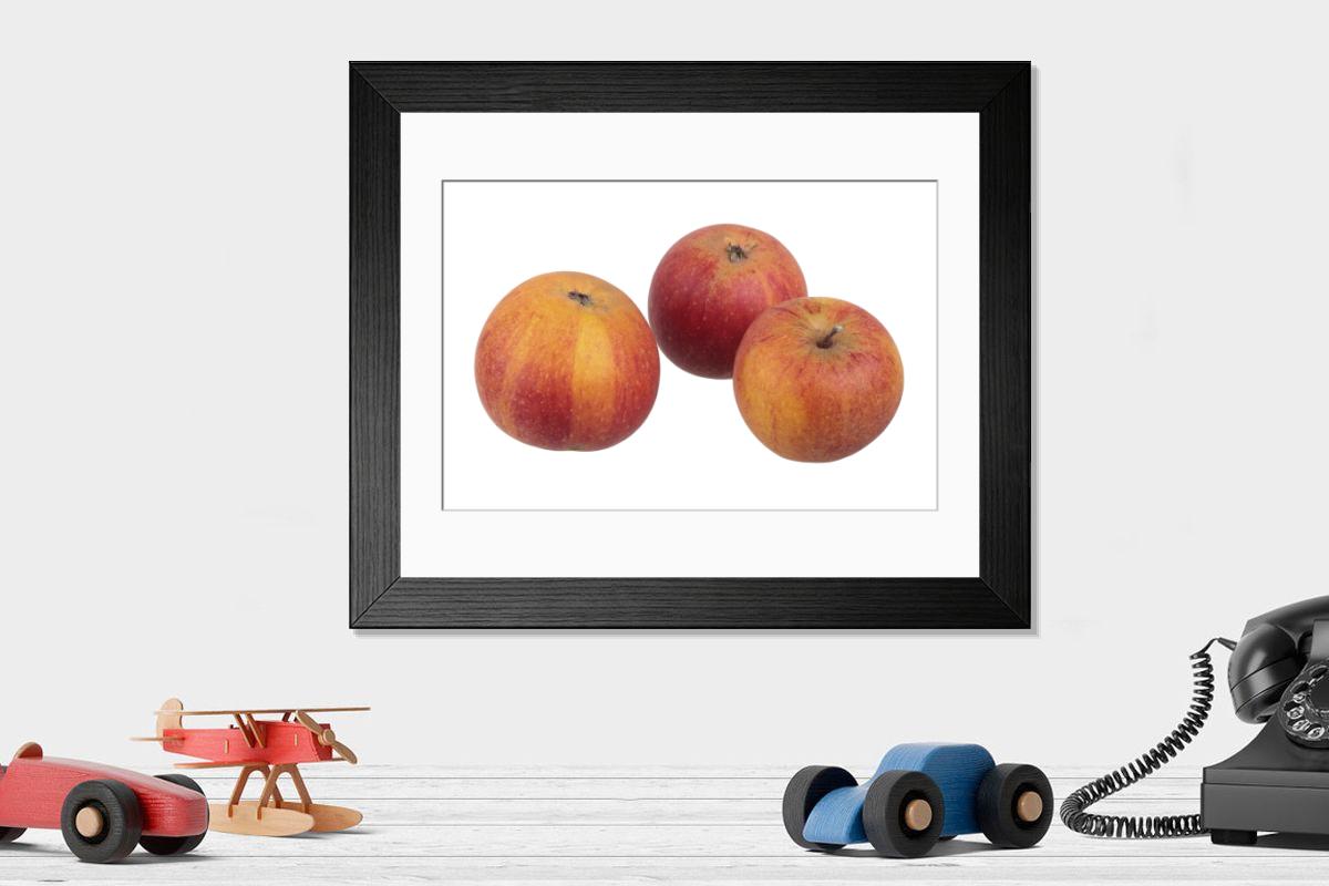product preview 0