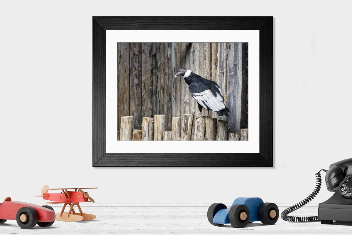 Shown hanging in a room: Modern 14"x12" (36x31cm)